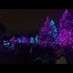 Meet your Posher, Sam